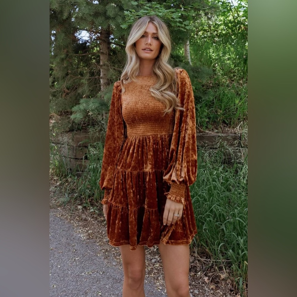 NWT Baltic Born Kele Crushed Velvet Mini Dress in Light Copper - Picture 1 of 5